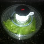 Centrífuga para Folhas 